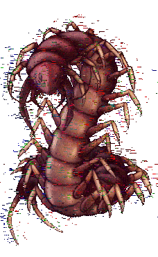 SCP-363